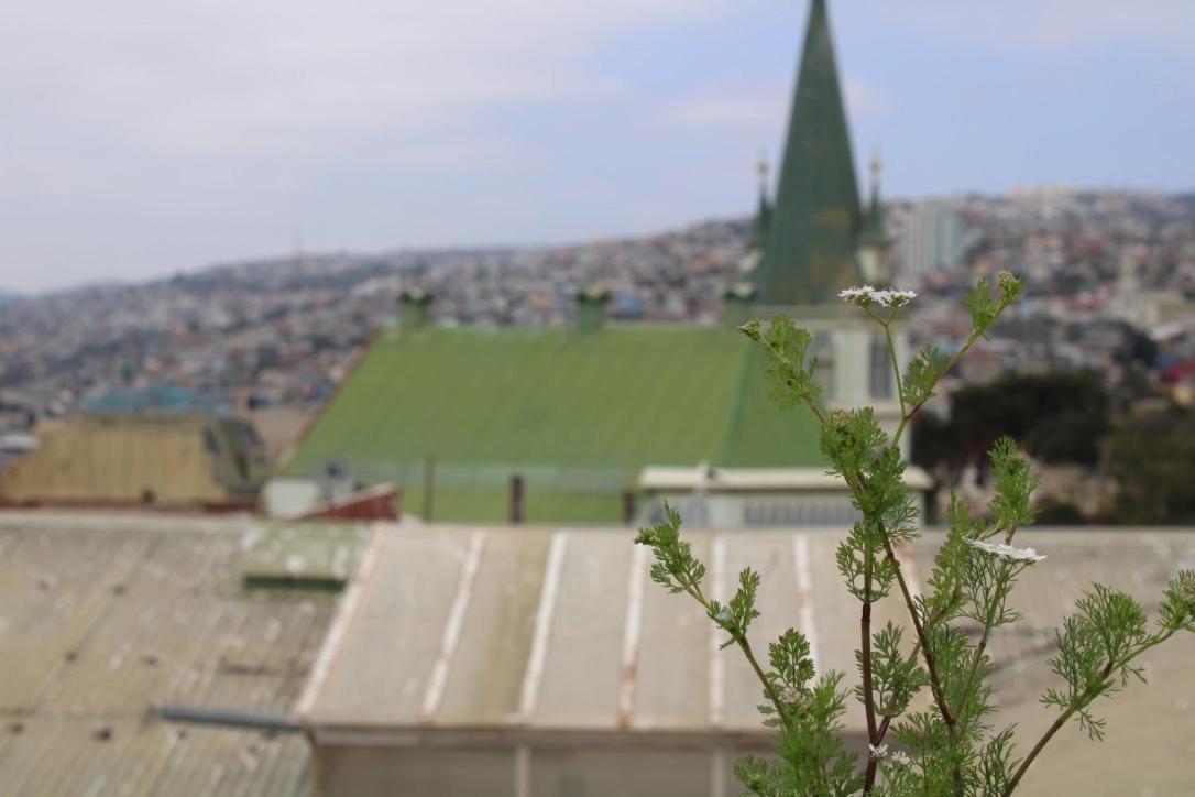 Angeles Cerro Concepcion *
